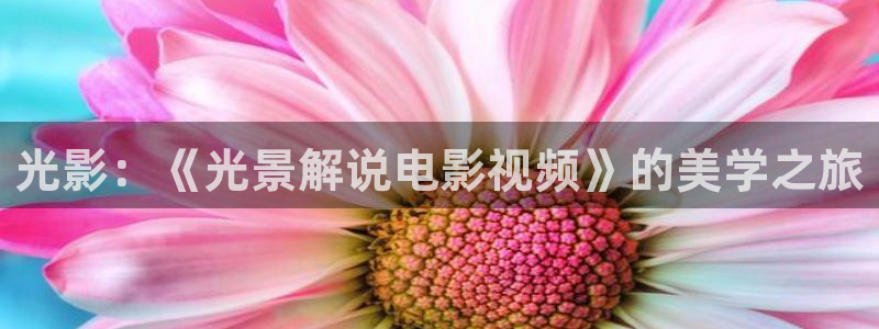 奇优影院最新