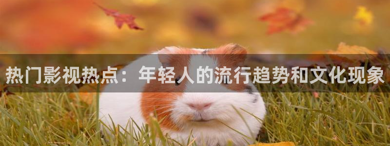 奇优影视电视剧手机版