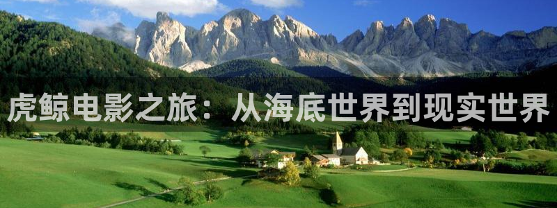 奇优影院手机在线播放