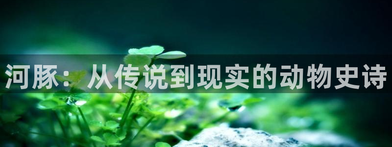 奇优影院电视剧手机版