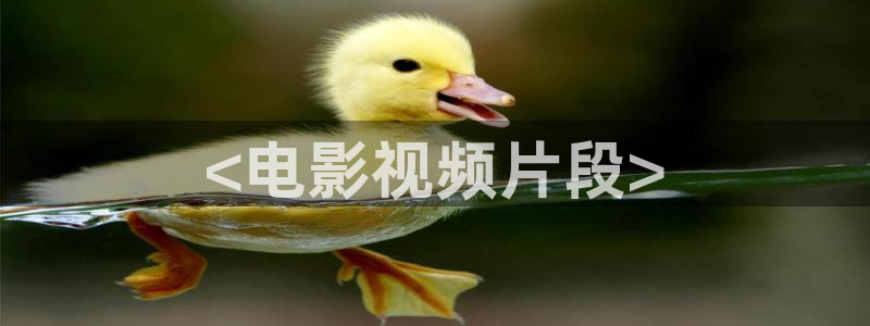 奇优影院手机版免费高清电影在线观看