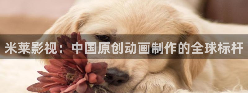 奇优影院手机版