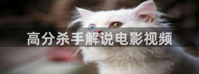 午夜奇优影院