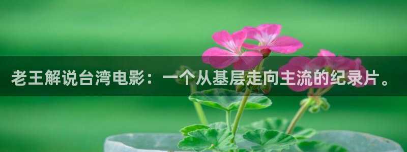 奇优影视 在线观看