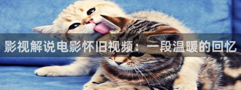 奇优影院手机版在线观看亲爱的热爱的：影视解说电影怀旧视频：一段温暖的回忆