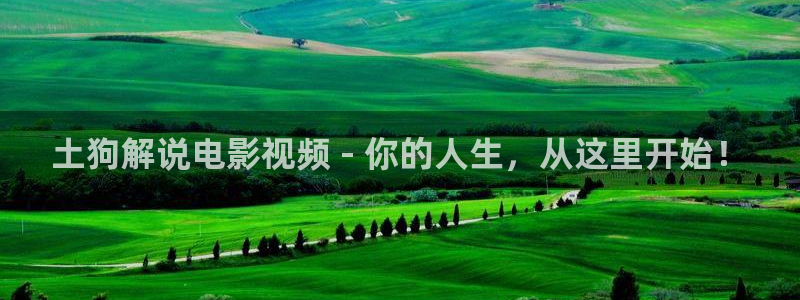 奇优影院电视网：土狗解说电影视频 - 你的人生，从这里开始！