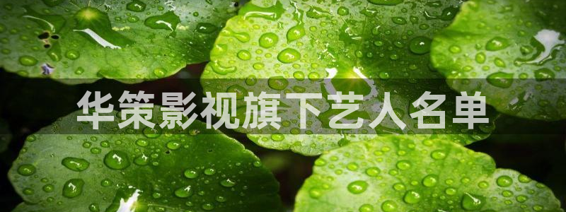 奇优影院网页版：华策影视旗下艺人名单