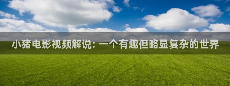 奇优影院2023：小猪电影视频解说: 一个有趣但略显复杂的世界