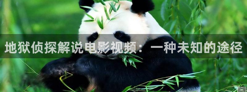 俄罗斯妈妈奇优影院：地狱侦探解说电影视频：一种未知的途径