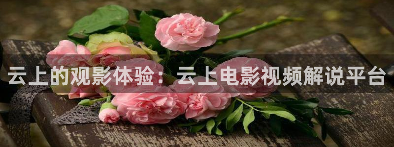 奇优影院电：云上的观影体验：云上电影视频解说平台