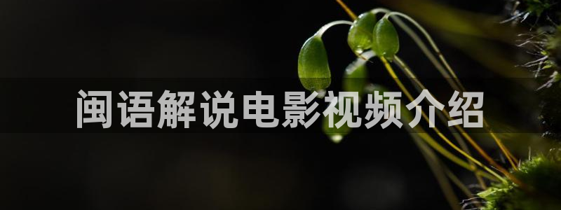 奇优影院 手机在线观看：闽语解说电影视频介绍