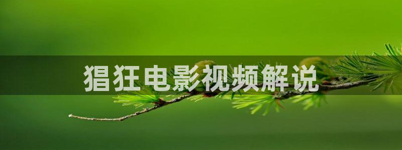 奇优影院在线电视剧免费观看：猖狂电影视频解说