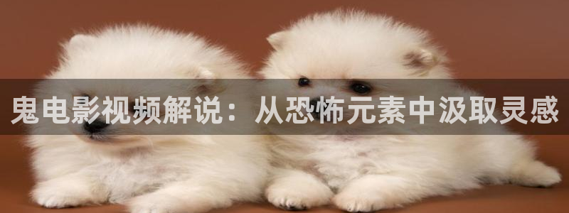 奇优影院在：鬼电影视频解说：从恐怖元素中汲取灵感