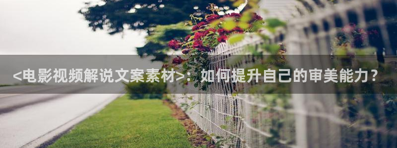 奇优影院 在线观看：<电影视频解说文案素材>：如何提升自己的审美能力？