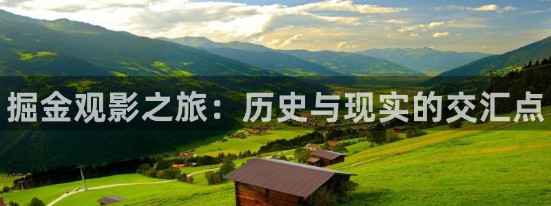 奇优影院手机版在线观看电视剧网站：掘金观影之旅：历史与现实的交汇点