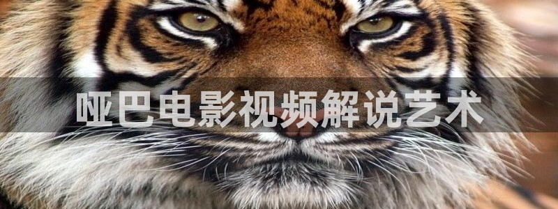 奇优影院免费版看：哑巴电影视频解说艺术