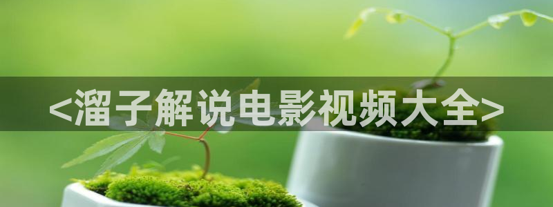 奇优影院手机在线影视：<溜子解说电影视频大全>