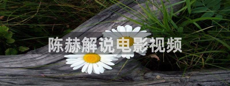 电车魔女奇优影院：陈赫解说电影视频