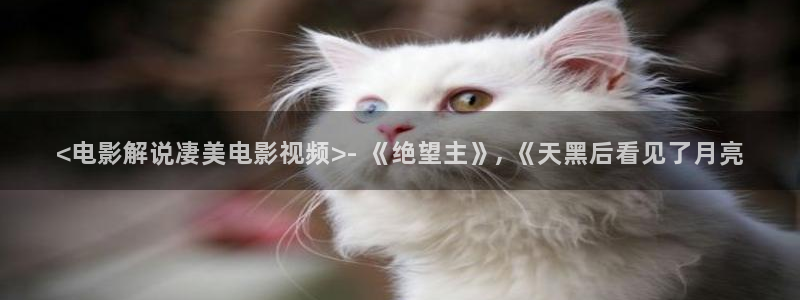 奇优影视网址：<电影解说凄美电影视频>- 《绝望主》, 《天黑后看见了月亮