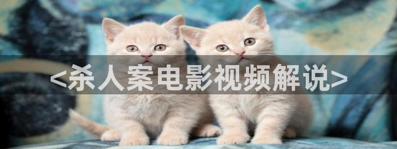 奇优影院手机高清版免费版