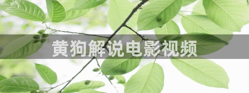 奇优影院手机版在线观看亲爱的热爱的