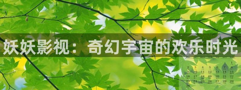 奇优影视手机在线免费观看：妖妖影视：奇幻宇宙的欢乐时光