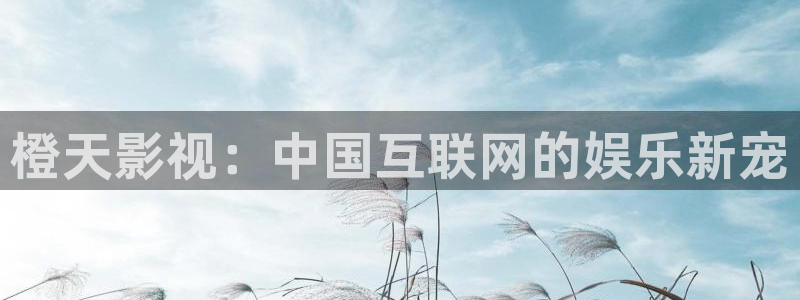 奇优影院动漫：橙天影视：中国互联网的娱乐新宠