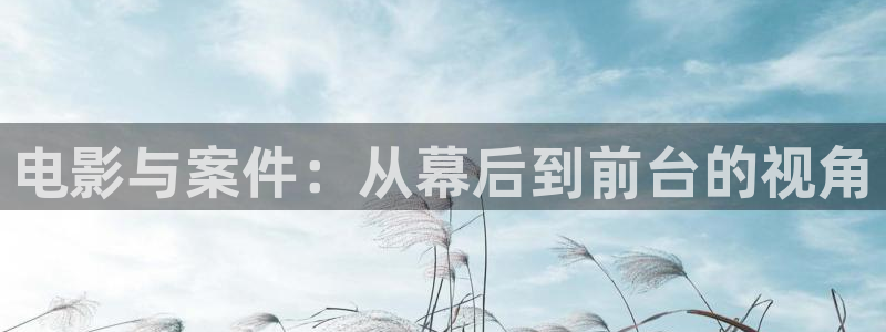 奇优影院官网入口：电影与案件：从幕后到前台的视角