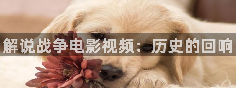 奇优影视在线观看