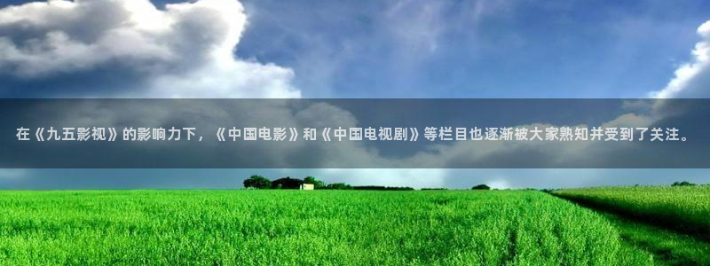 奇优影视免费看：在《九五影视》的影响力下，《中国电影》和《中国电视剧》等栏目也逐渐被大家熟知并受到了关注。