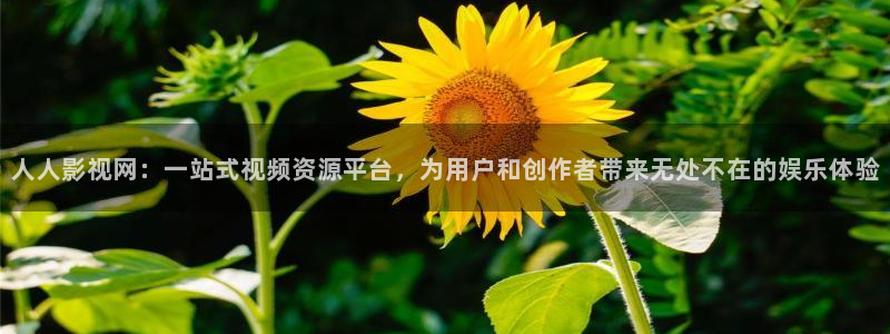 奇优影院在线观看在线观看：人人影视网：一站式视频资源平台，为用户和创作者带来无处不在的娱乐体验