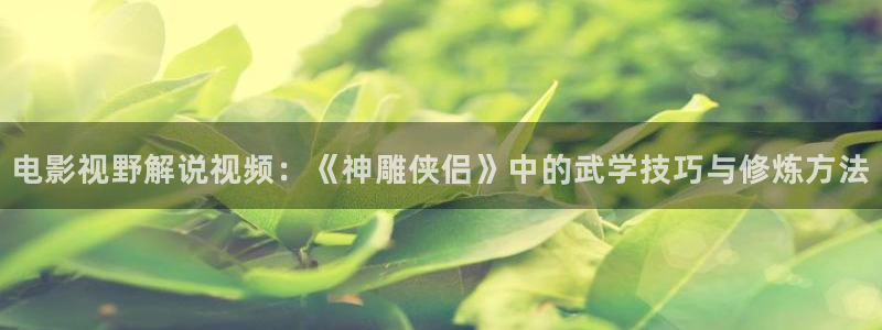 4080在线观看免费高清电视剧奇优影院：电影视野解说视频：《神雕侠侣》中的武学技巧与修炼方法