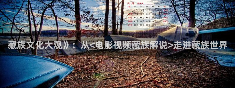 聚会的目的奇优影院：藏族文化大观》：从<电影视频藏族解说>走进藏族世界