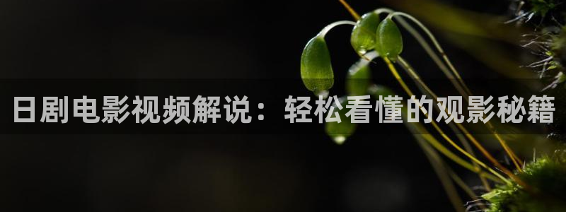奇优影院 伦理片：日剧电影视频解说：轻松看懂的观影秘籍