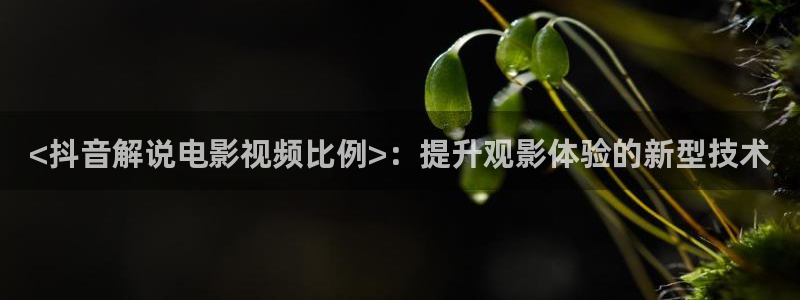 美景之屋3奇优影院：<抖音解说电影视频比例>：提升观影体验的新型技术
