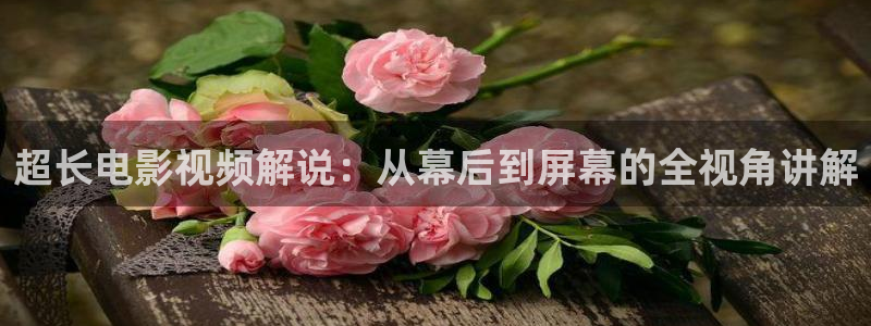 妻子的校友奇优影院：超长电影视频解说：从幕后到屏幕的全视角讲解