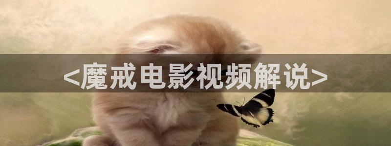 奇优影院在线免费看：<魔戒电影视频解说>