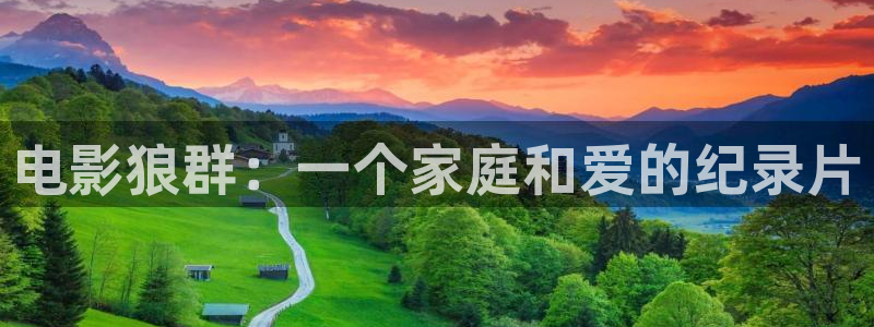 遮天奇优影院：电影狼群：一个家庭和爱的纪录片