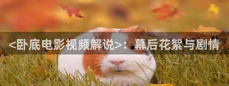 奇优影院第一页手机版：<卧底电影视频解说>：幕后花絮与剧情