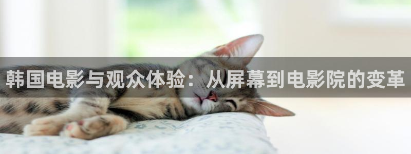 奇优影院第一页电视剧：韩国电影与观众体验：从屏幕到电影院的变革