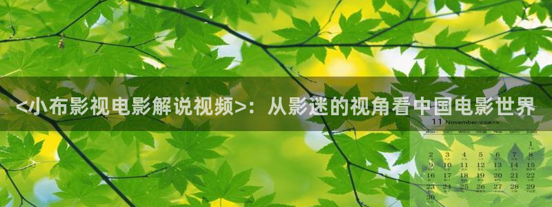 奇优影视在线观看：<小布影视电影解说视频>：从影迷的视角看中国电影世界