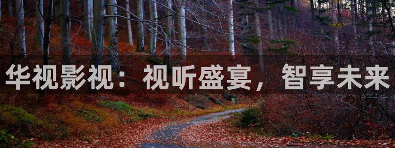 奇优影院留言板：华视影视：视听盛宴，智享未来