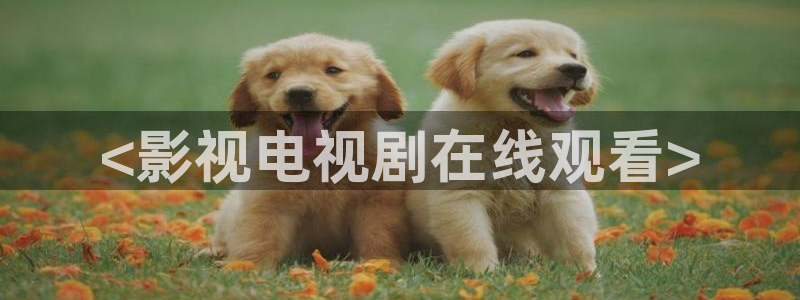 奇优影视在线观看免费：<影视电视剧在线观看>