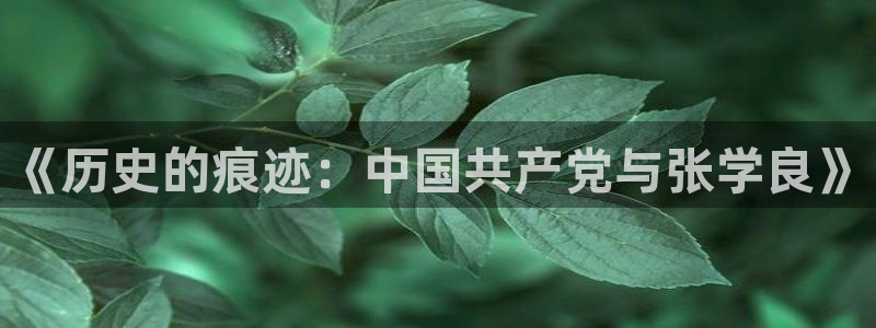 奇优影院手机在线电视播放：《历史的痕迹：中国共产党与张学良》