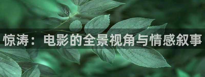奇优影院电视剧免费观看首页